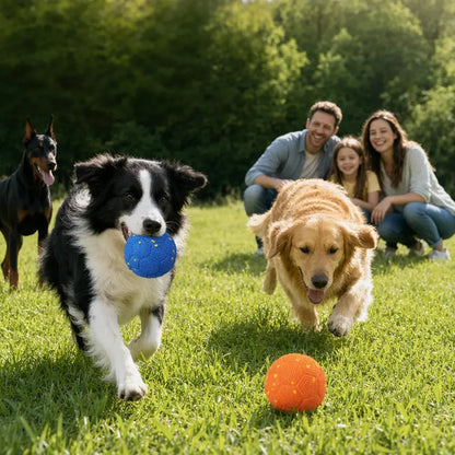 Sovelivee Interactive Plaid Dog Ball - Motion-Activated Automatic Chew Toy, USB Rechargeable, Silent Mode, Durable Design for Indoor Exercise and Boredom Relief