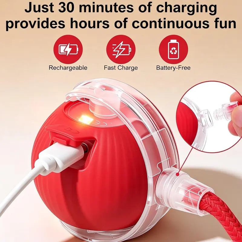 Smart Interactive USB-Rechargeable Rolling Cat Toy Ball - Light-Up, Adjustable Quiet Mode, Durable and Non-Toxic with Replaceable Wavy-Texture Shell, 8-Color Indoor Hunting Toy with Bird Sound Automation